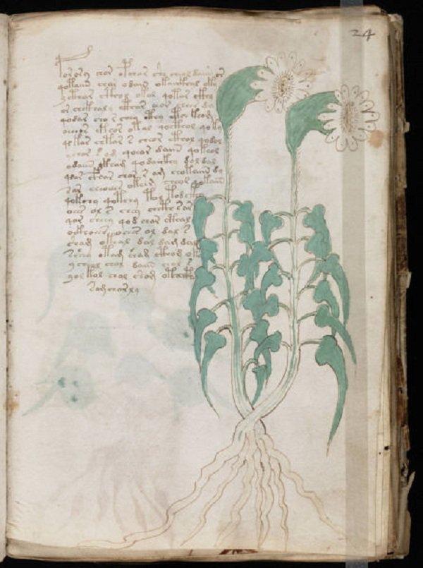 Bí ẩn cuốn sách Voynich