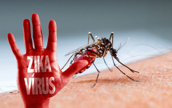 Bỉ ghi nhận 32 trường hợp nhiễm virus Zika