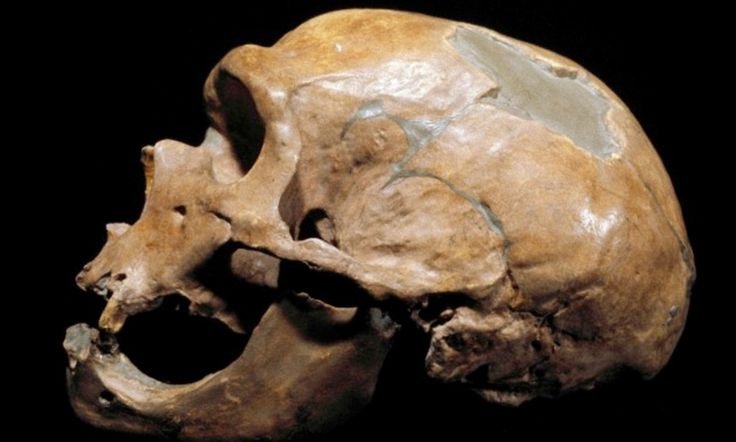 Bỉ: Phát hiện tộc người ăn thịt lẫn nhau 40.000 năm trước