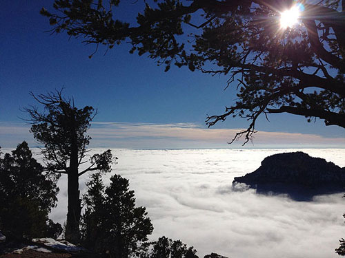 Biển sương mù phủ quanh hẻm núi Grand Canyon