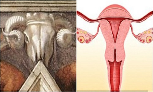 Biểu tượng cơ quan sinh sản nữ trên trần nhà thờ Vatican