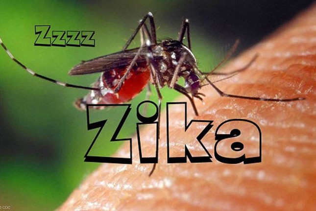 Bộ Y tế cảnh báo virus Zika đã lưu hành trong cộng đồng