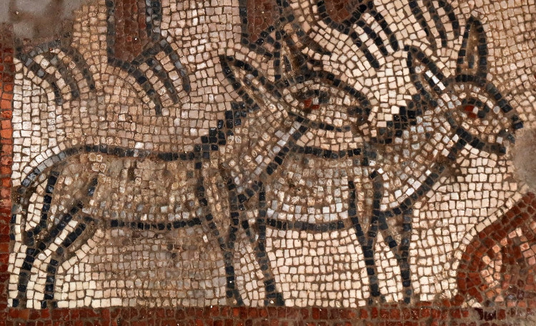 Bức tranh cá nuốt người trong giáo đường Do Thái thế kỷ 5