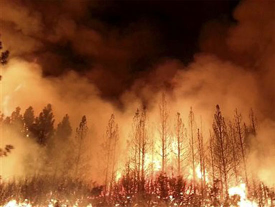 California ban bố tình trạng khẩn cấp do cháy rừng