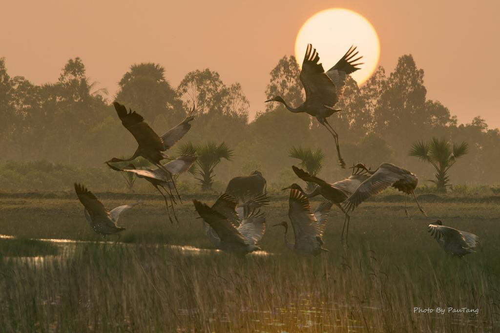 Cảnh thiên nhiên ngoạn mục trong bộ ảnh Sếu của nhiếp ảnh gia Tăng A Pẩu