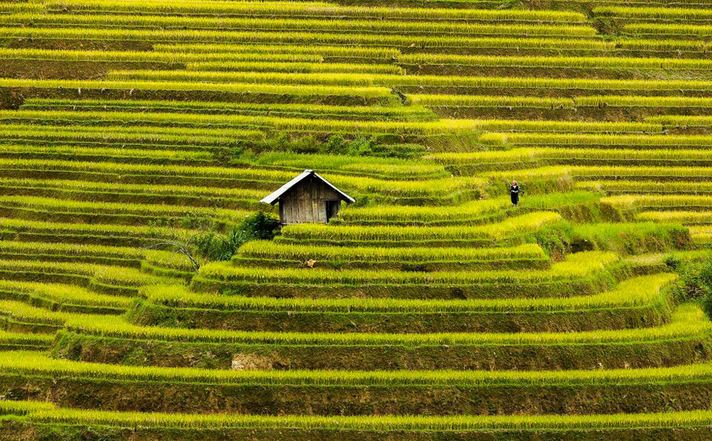 Cảnh vật độc đáo và bí ẩn trên toàn thế giới