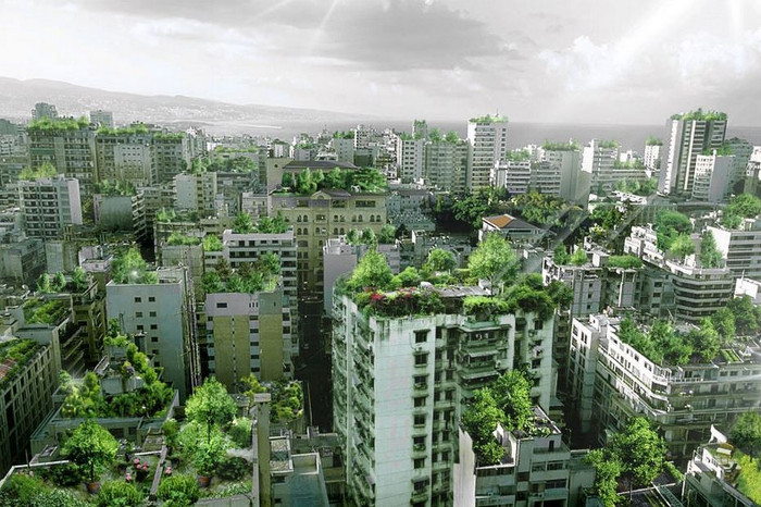 Cây xanh có thể làm mát thành phố được không và bằng cách nào?