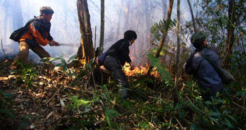 Cháy khoảng 100 ha rừng ở Vườn quốc gia Hoàng Liên