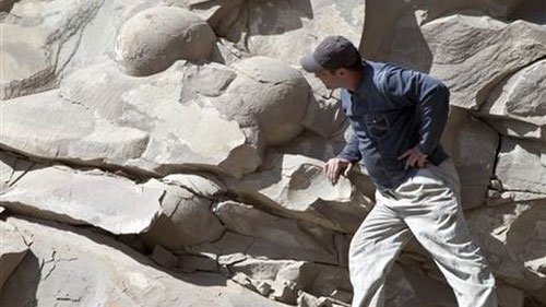 Chechnya tuyên bố tìm thấy trứng khủng long “khủng” nhất thế giới