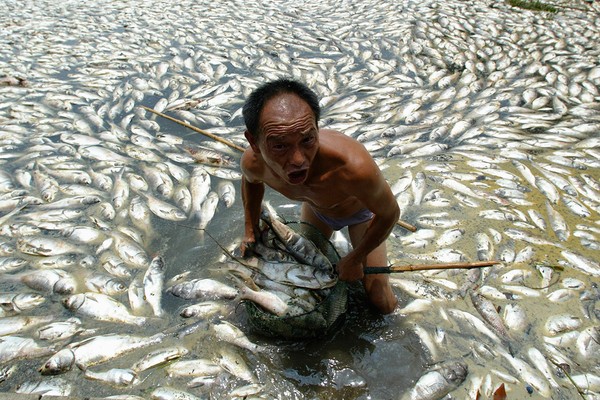 Chùm ảnh kinh hoàng về tình hình cạn kiệt nước sạch trên toàn thế giới