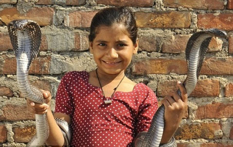 Cô bé 8 tuổi chỉ thích chơi... rắn độc