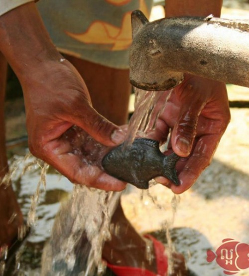 Con cá sắt chữa bệnh thiếu máu cho người Campuchia