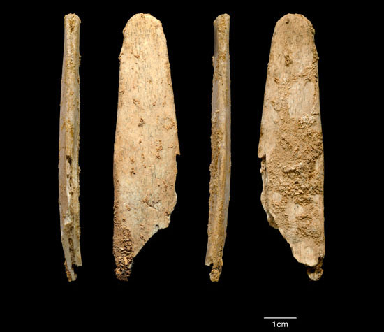 Công cụ bằng xương 51.000 năm tuổi