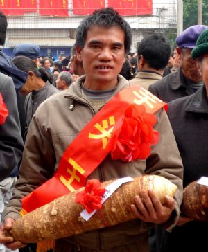 Củ từ nặng 38kg