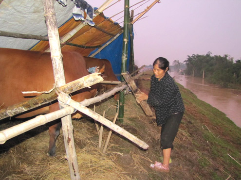 Cuộc sống khốn cùng trên bờ đê chạy lũ