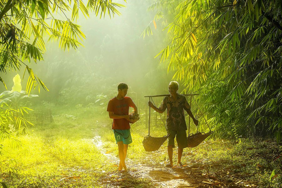 Cuộc sống yên bình nơi làng quê Việt