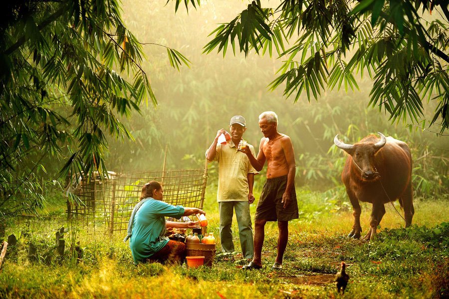 Cuộc sống yên bình nơi làng quê Việt