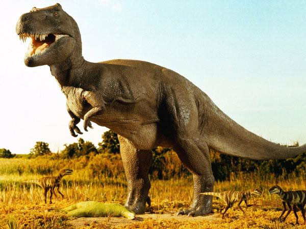 Dấu hiệu chứng tỏ khủng long là động vật máu nóng