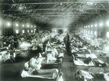 Dịch cúm & bệnh truyền nhiễm trong lịch sử con người