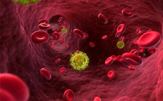 Diễn biến mới trong nghiên cứu chữa trị HIV