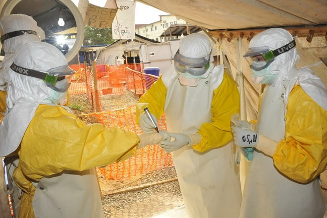 Điều chế thành công huyết thanh điều trị Ebola trên khỉ