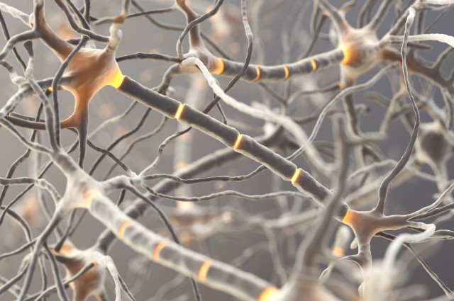 Điều khiển neuron thần kinh bằng kết nối không dây