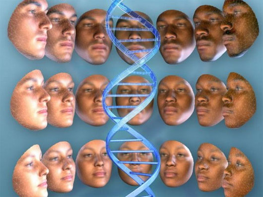 DNA có thể phác thảo gương mặt của nghi phạm