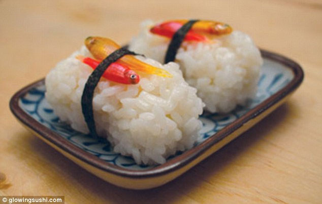 Độc đáo món sushi làm từ cá phát sáng
