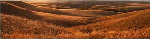 Đồng cỏ Kansas bốn mùa biến hóa