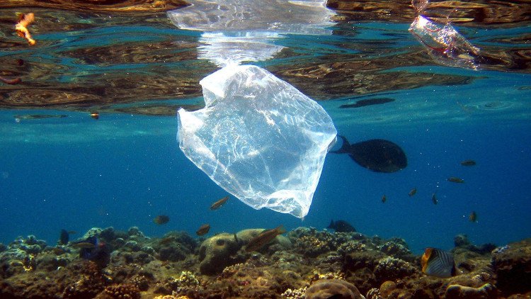 Đức sẽ thu gom rác nhựa trên biển