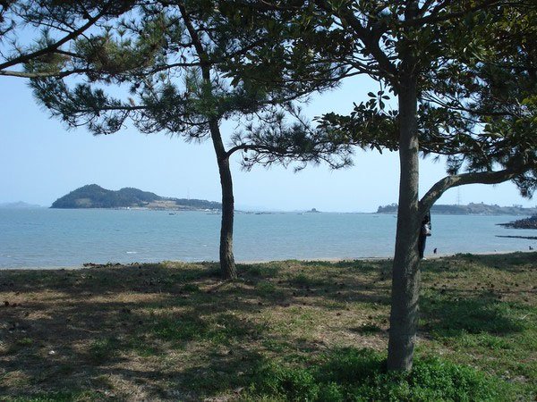 Giải mã bí ẩn biển tách làm đôi ở Hàn Quốc