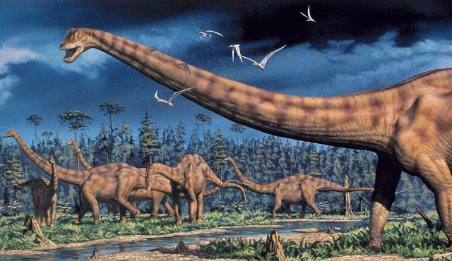 Giải mã cách ăn của khủng long dài nhất hành tinh