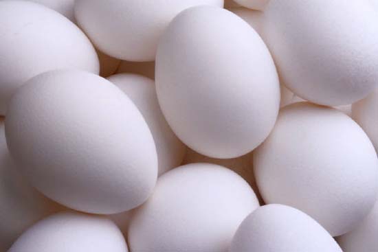 Góc nhìn mới: ăn trứng gà chỉ có lợi?