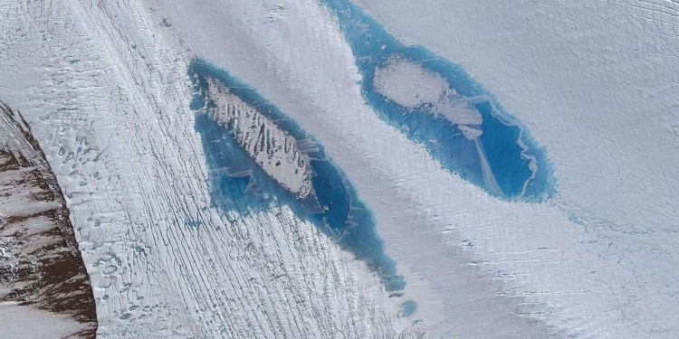 Hàng ngàn vệt xanh này đang xuất hiện tại Nam Cực, và đó là tin cực kỳ xấu
