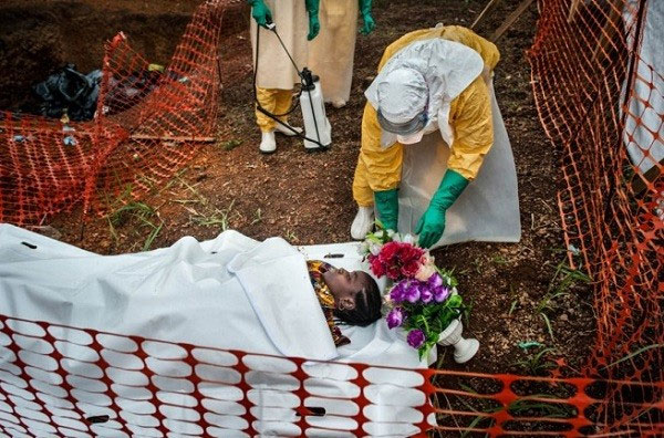 Hành trình virus Ebola phá hoại cơ thể người trong bộ hình ám ảnh