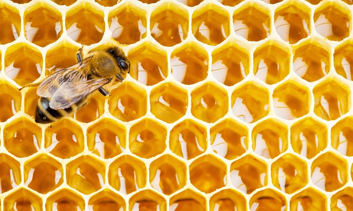 Hiểu thêm về tác dụng của mật ong
