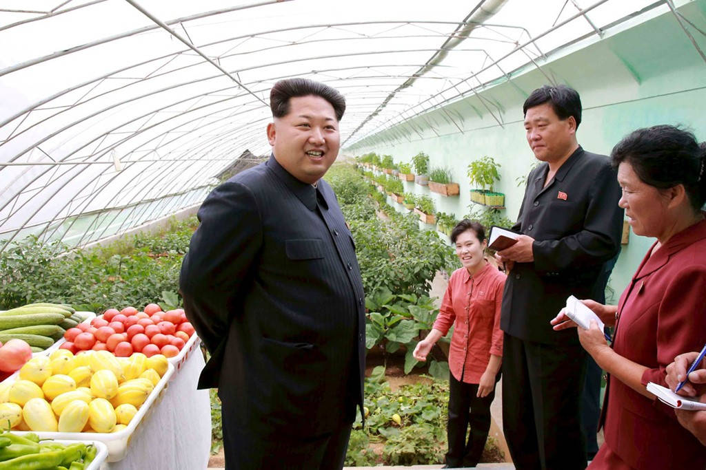 Hình ảnh hiếm về nền nông nghiệp ở Triều Tiên