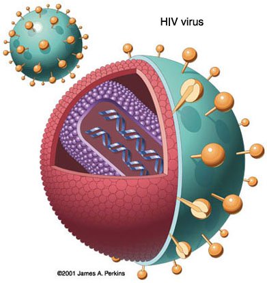 HIV trở nên nguy hiểm hơn?