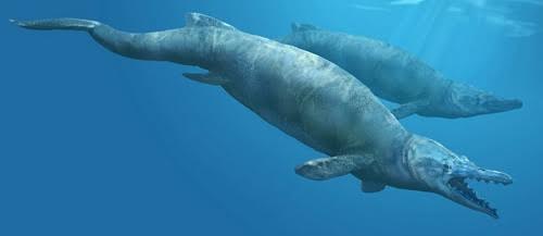 Hóa thạch cá voi nằm trong cá voi sát thủ cổ đại