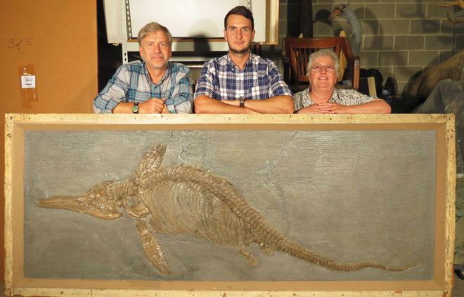 Hóa thạch rồng biển thống trị đại dương kỷ Jura