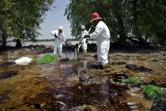 Hơn 200 triệu người có nguy cơ nhiễm độc từ môi trường