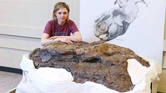 Hộp sọ khủng long nguyên vẹn ở Canada