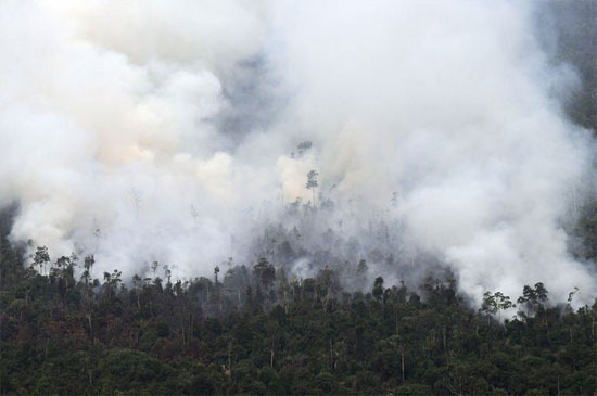 Indonesia dội bom nước để dập cháy rừng