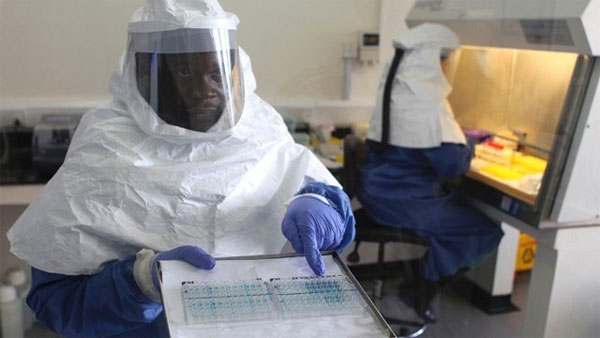 Italia phát triển, nghiên cứu vắc xin điều trị Ebola