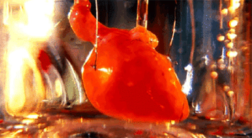 Khám phá quá trình tạo ra quả tim đập thình thịch trong phòng thí nghiệm