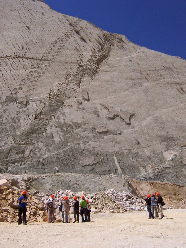 Khám phá vách đá có hơn 5.000 vết chân khủng long cổ đại