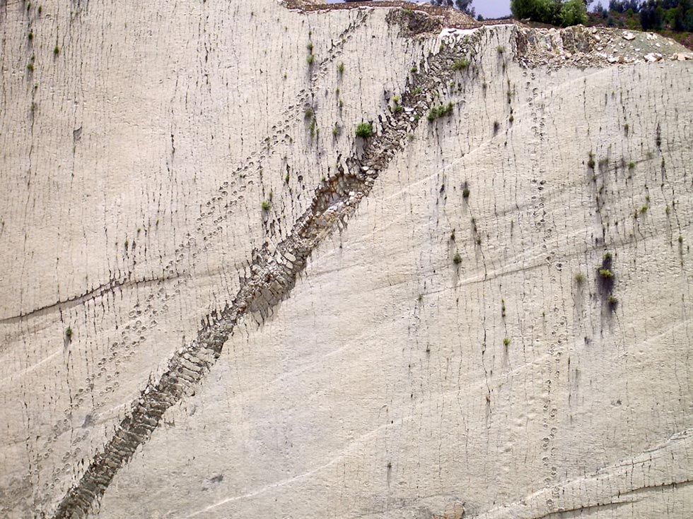 Khám phá vách đá có hơn 5.000 vết chân khủng long cổ đại