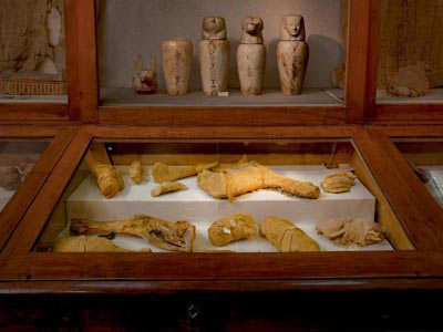 Khám phá xác ướp động vật ở Ai Cập