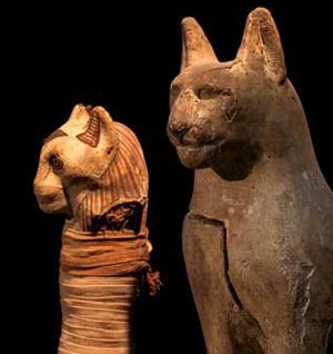 Khám phá xác ướp động vật ở Ai Cập