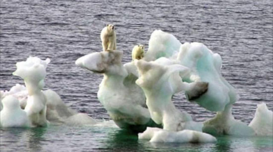 Khối lượng băng ở Bắc cực xuống mức thấp kỷ lục